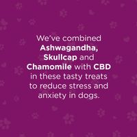 Gizzls Stress & Anxiety CBD Treats - Small Dog